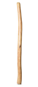Medium Size Natural Finish Didgeridoo (TW1700)